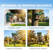 Mangeoire à Oiseaux avec Caméra 2K Solaire 2,5L 142°, Identification IA 16000+, App, IP65, SD 32 Go, 30x34,5x26,3cm Vert-8