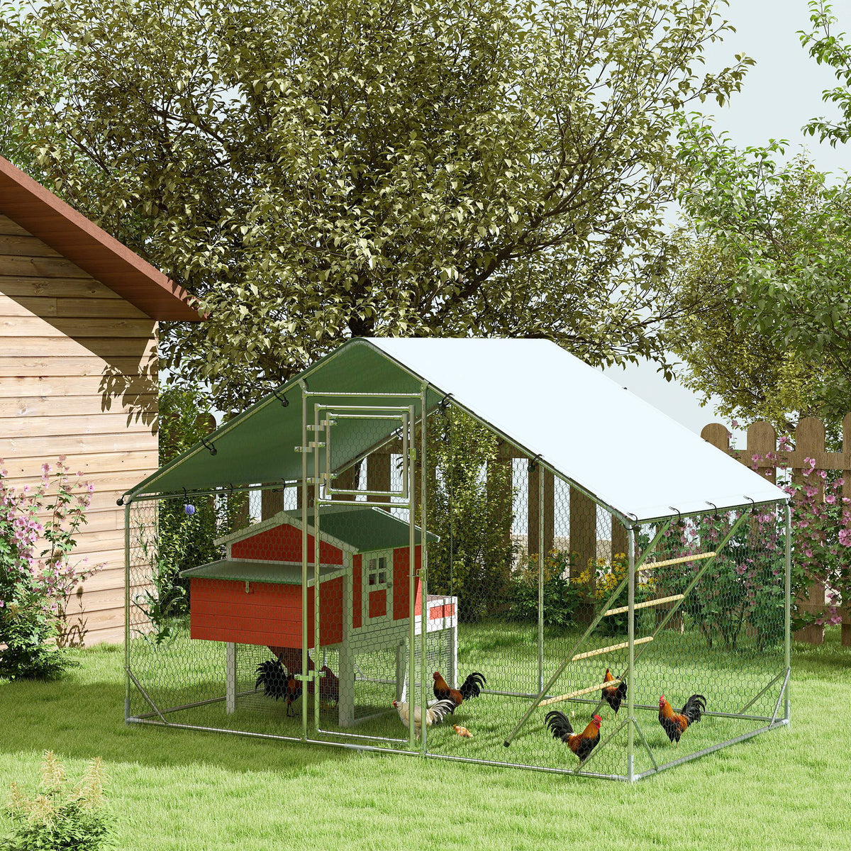 Enclos poulailler, 6 m², perchoir et mangeoire-2
