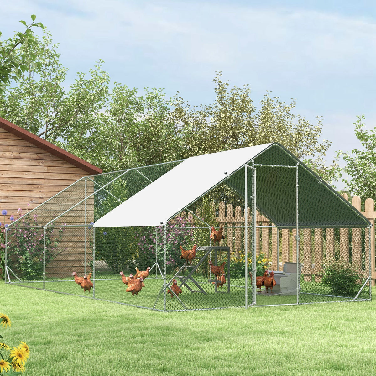 Enclos poulailler chenil volière, 18 m²-4
