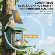 Mangeoire à Oiseaux avec Caméra 2K Solaire 2,5L 142°, Identification IA 16000+, App, IP65, SD 32 Go, 30x34,5x26,3cm Vert-7