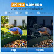 Mangeoire à Oiseaux avec Caméra 2K Solaire 2,5L 142°, Identification IA 16000+, App, IP65, SD 32 Go, 30x34,5x26,3cm Vert-4
