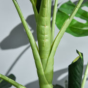 Monstera artificiel Ø16 x 100 cm, 21 feuilles, pot ciment, intérieur et extérieur-7