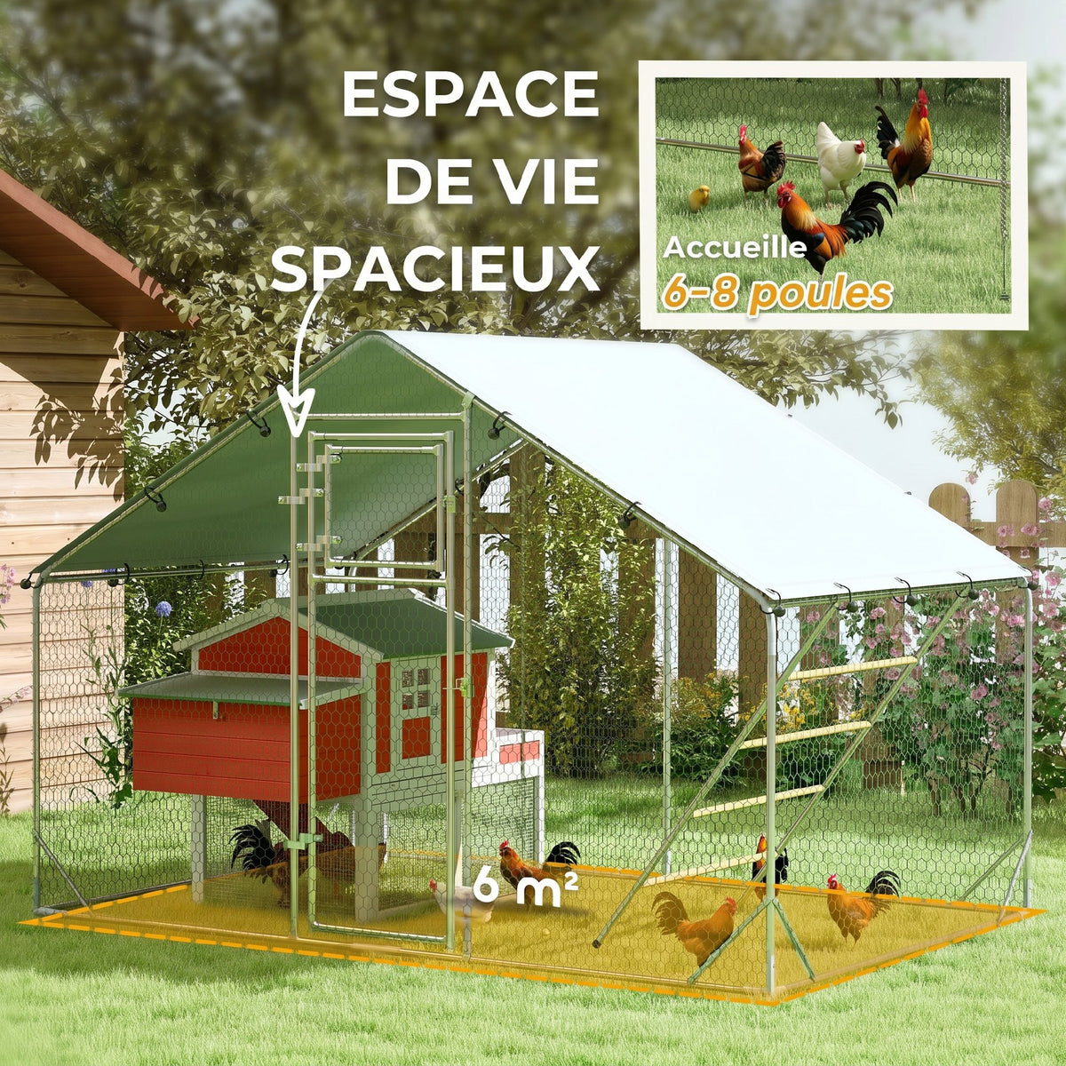 Enclos poulailler, 6 m², perchoir et mangeoire-4