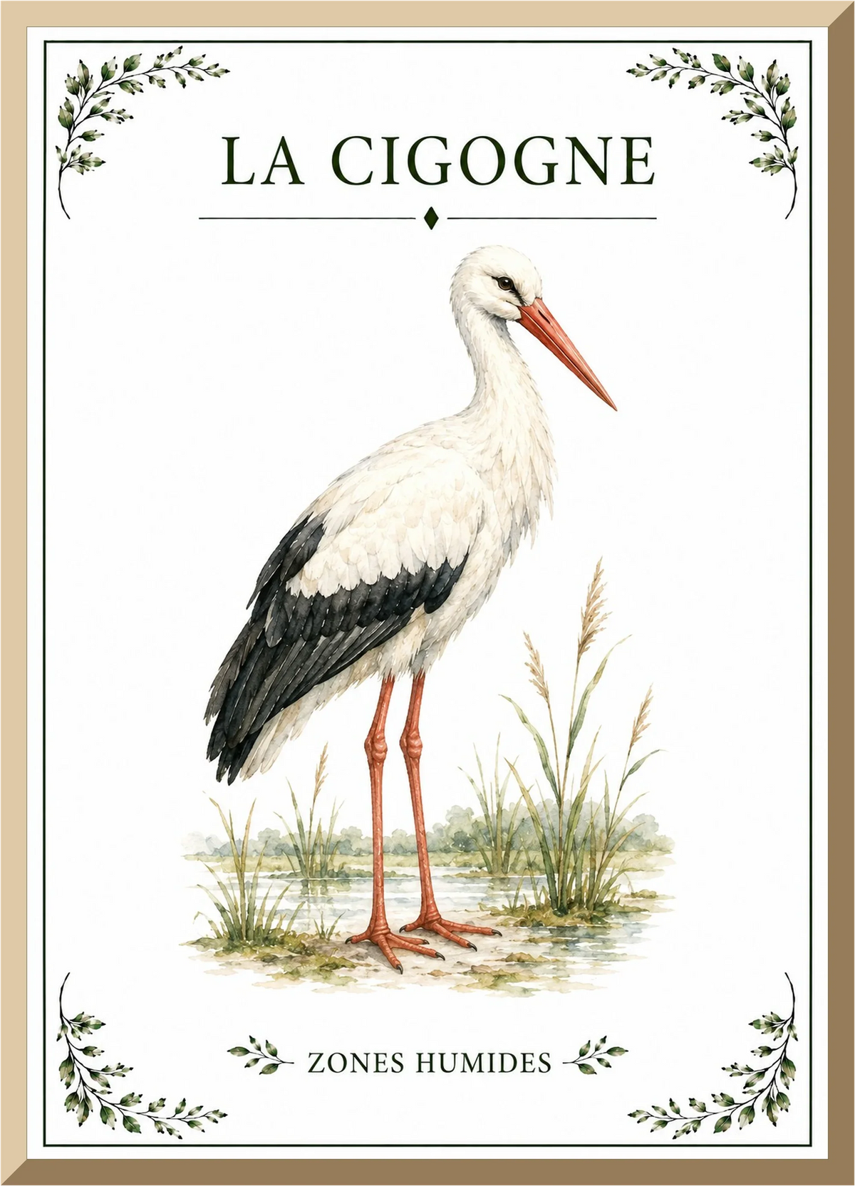 Affiche naturaliste Cigogne – illustration d’oiseau