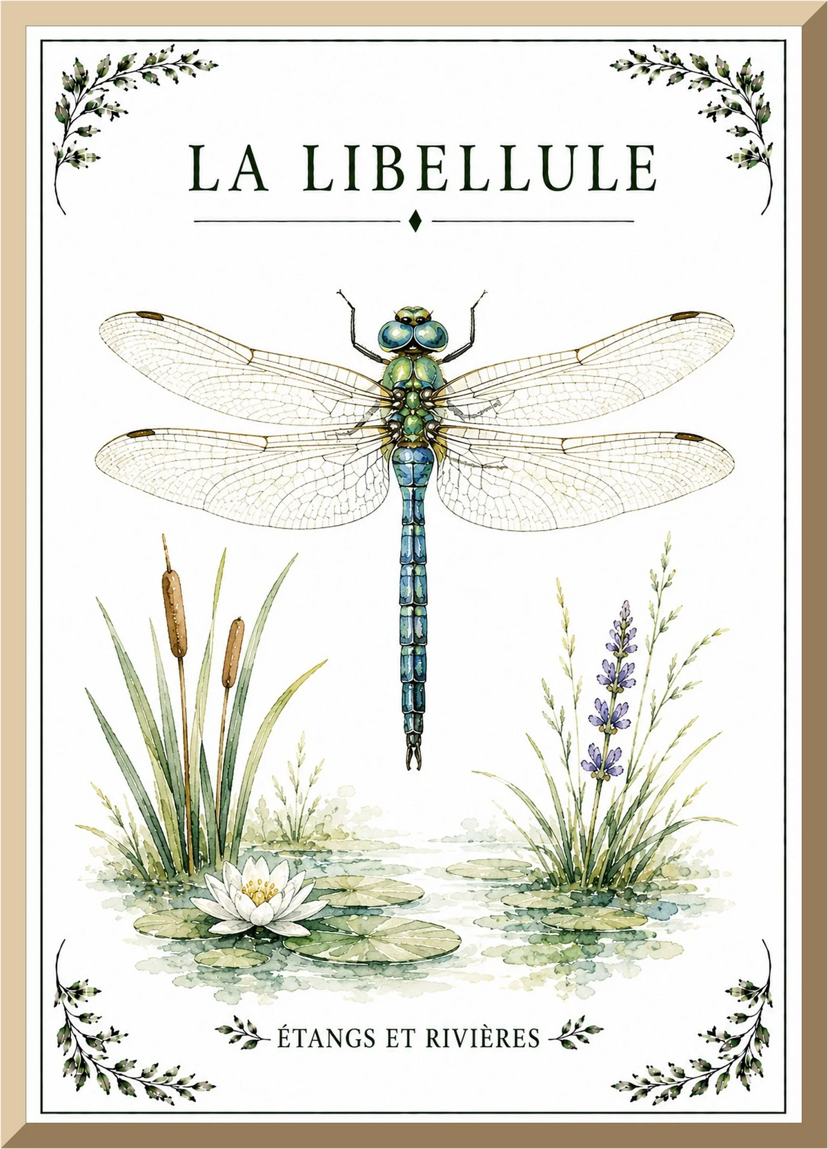 Affiche naturaliste Libellule – illustration de nature