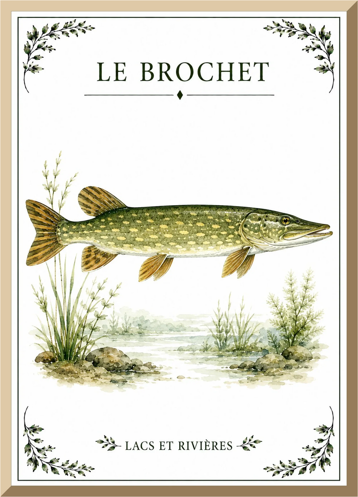 Affiche naturaliste Brochet – illustration de poisson