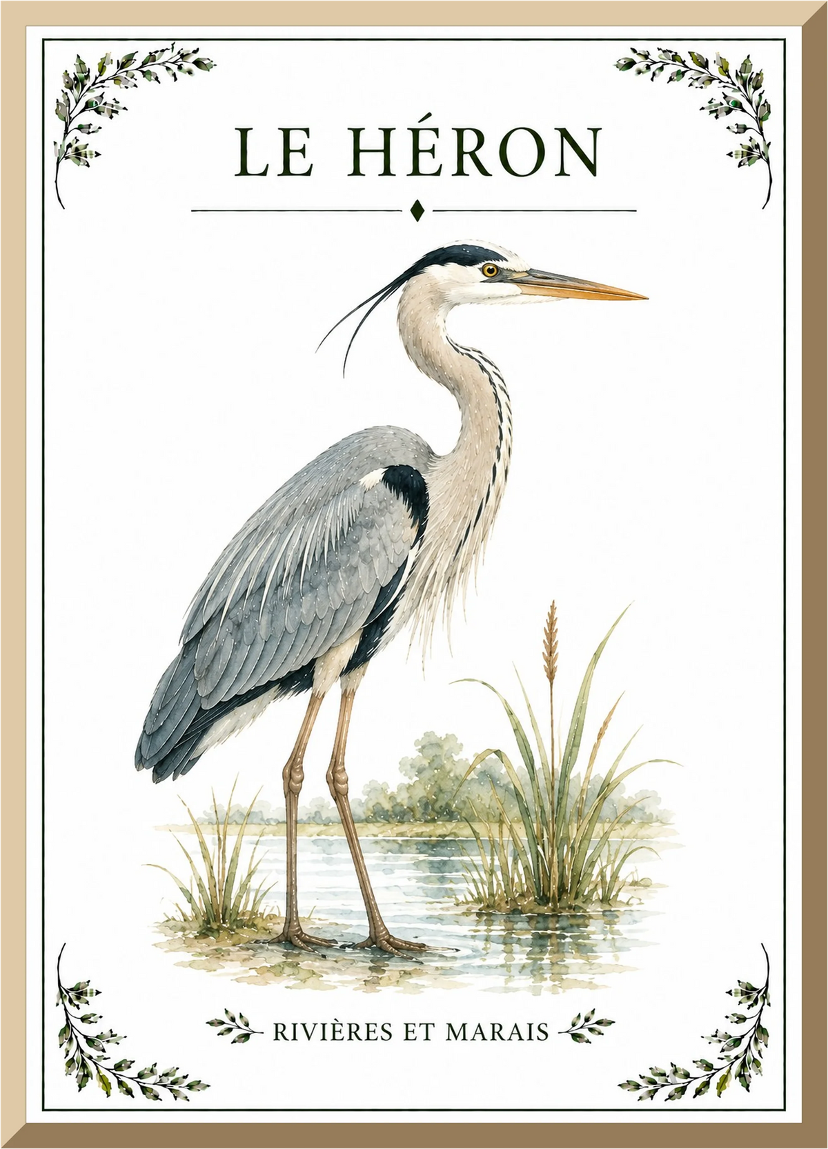Affiche naturaliste Héron – illustration d’oiseau