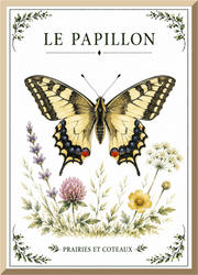 Affiche naturaliste Papillon – illustration de nature