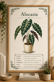 Affiche botanique Alocasia à l’aquarelle