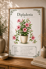 Affiche botanique Dipladenia à l’aquarelle