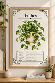 Affiche botanique Pothos à l’aquarelle