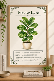 Affiche botanique Figuier Lyre à l’aquarelle