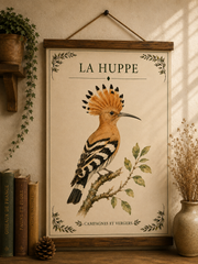 Affiche naturaliste Huppe à l’aquarelle