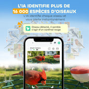 Mangeoire à Oiseaux avec Caméra 2K Solaire 2,5L 142°, Identification IA 16000+, App, IP65, SD 32 Go, 30x34,5x26,3cm Vert-3