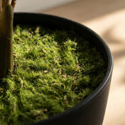 Fougère artificielle 90 cm en pot, branches flexibles, intérieur et extérieur-8