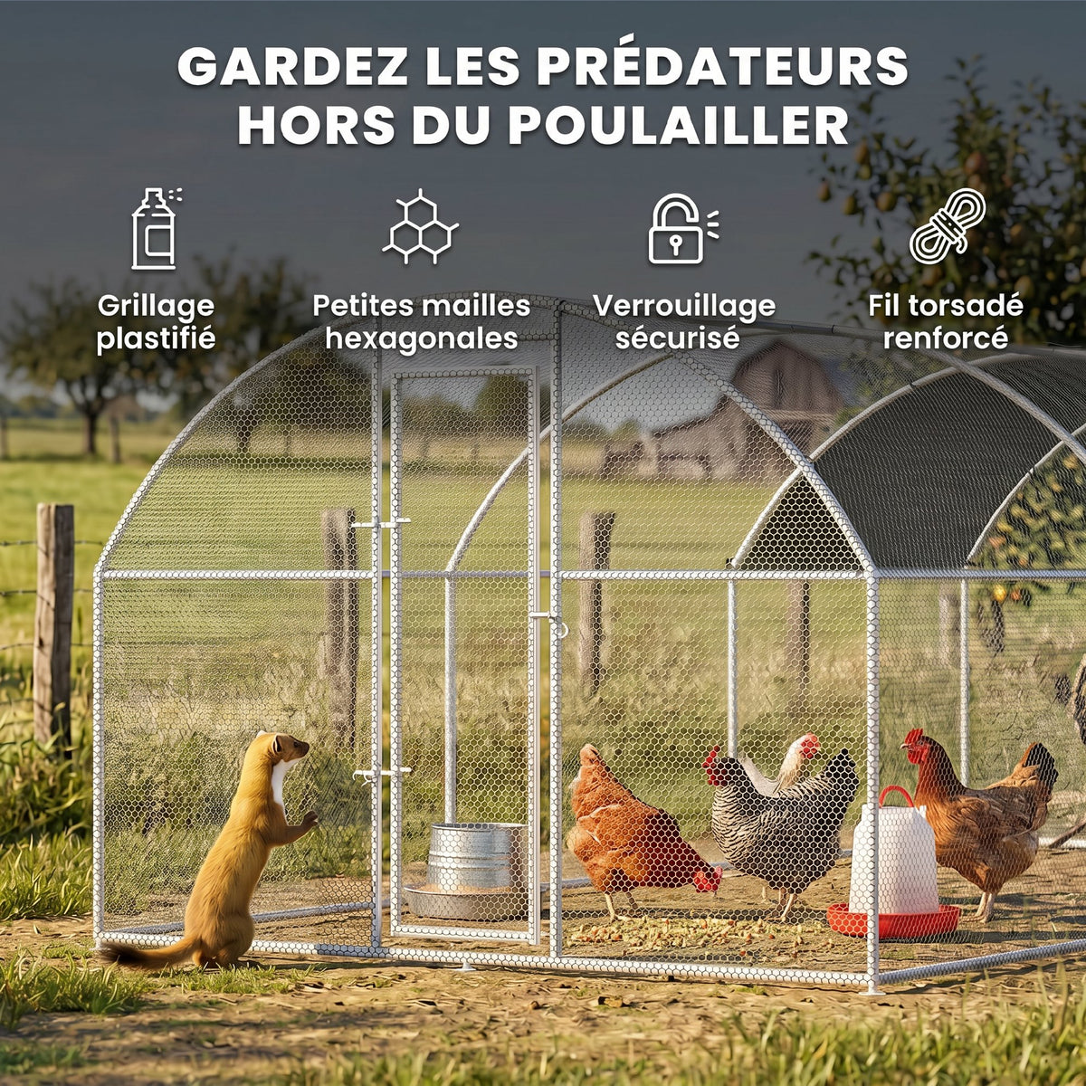 Grand enclos poulailler, 15,96 m²-2